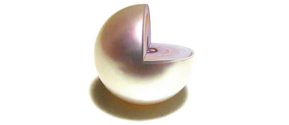 perle en d�coupe