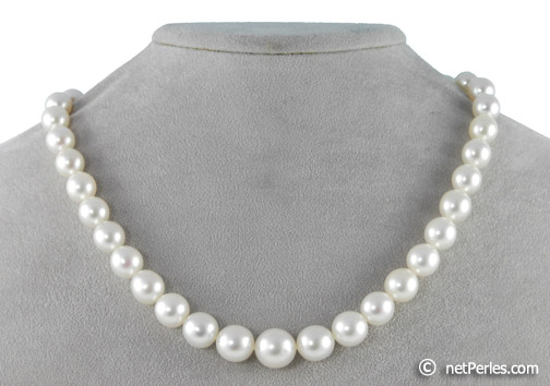 perles blanches d'australie