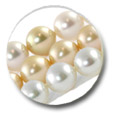 Perles des mers du Sud