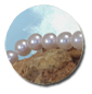 Collier de perles d'Akoya