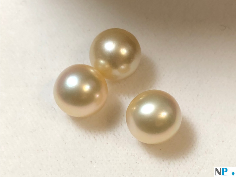 Perles de culture Australiennes Champagne