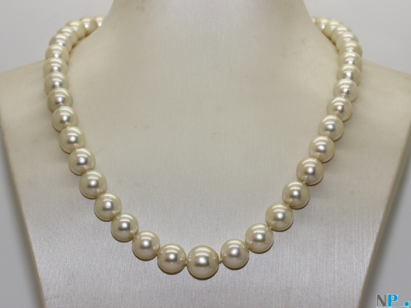 Collier de perles d'australie, blanches, reflets ivoire