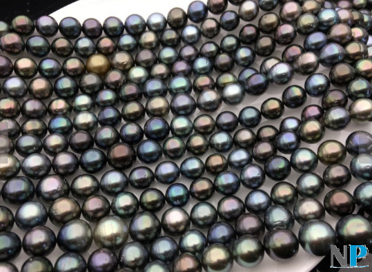 Rangs de perles de Tahiti multicolores