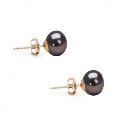 Boucles d'Oreilles de perles d'eau douce noires cuivrées 6-7 mm forme bouton AA+ Or Jaune 14k